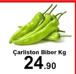 Charlıston Biber Kg