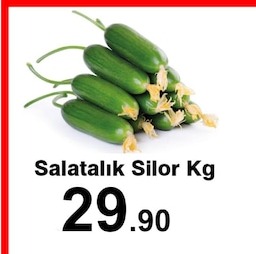 Salatalık Silor Kg