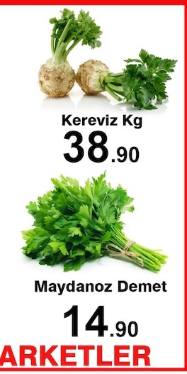 Kereviz Kg