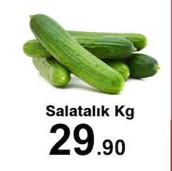 Salatalik Kg