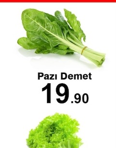 Kereviz Kg