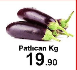 Patlıcan Kg