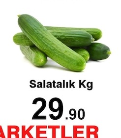 Salatalık Kg