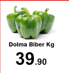 Dolma Biber Kg