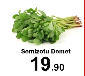 Semizotu Demet