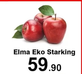 Elma Eko Starking