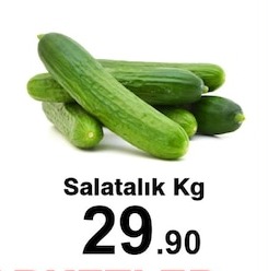 Salatalik Kg