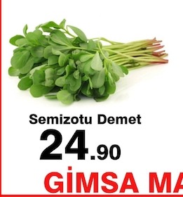 Semizotu Demet