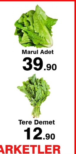 Marul Adet