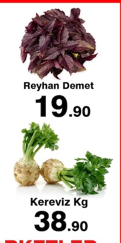 Reyhan Demet