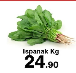 Ispanak Kg