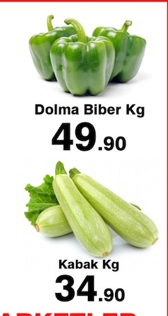 Dolma Biber Kg