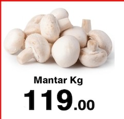 Mantar Kg