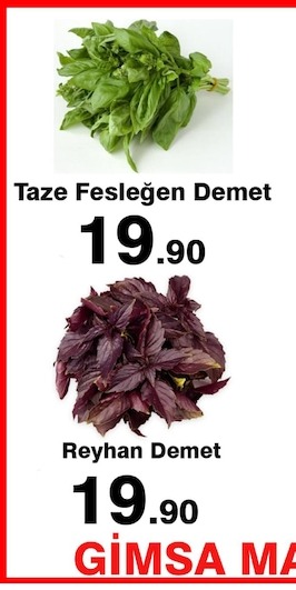 Taze Fesleğen Demet