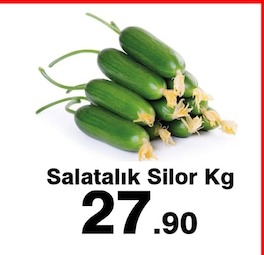 Salatalık Silor Kg