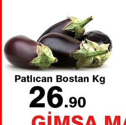 Patlıcan Bostan Kg