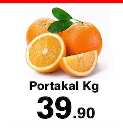Portakal Kg