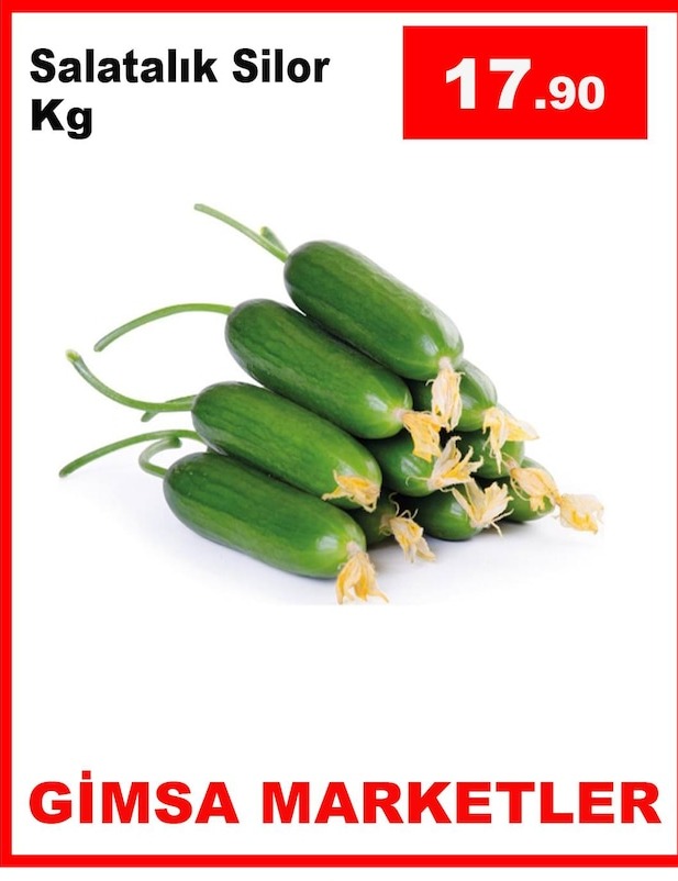 Salatalık Silor Kg
