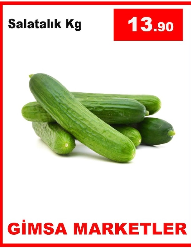 Salatalık Kg