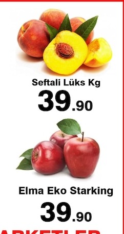 Seftali Lüks Kg