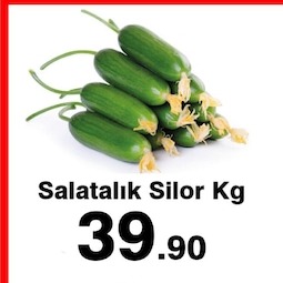 Salatalık Silor Kg