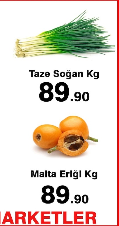 Taze Soğan Kg