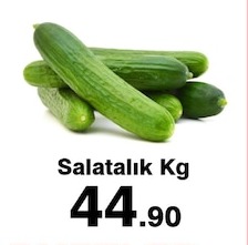 Salatalık Kg