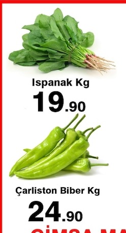 Ispanak Kg