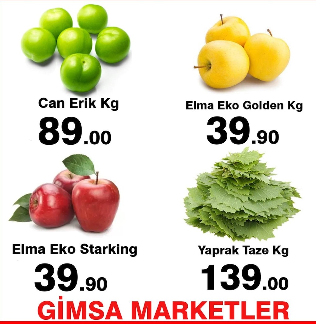 Can Erik Kg