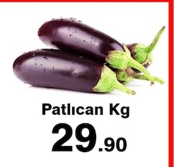 Patlıcan Kg