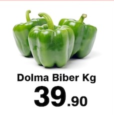 Dolma Biber Kg