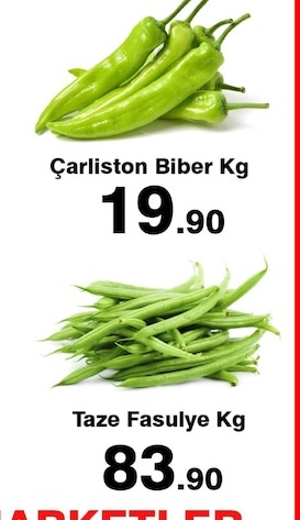 Carliston Biber Kg