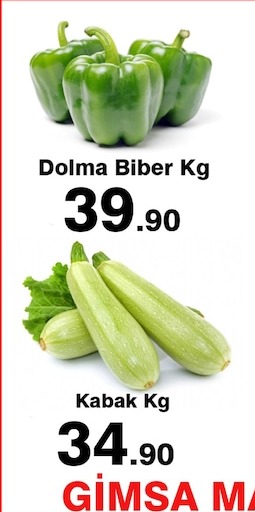 Dolma Biber Kg