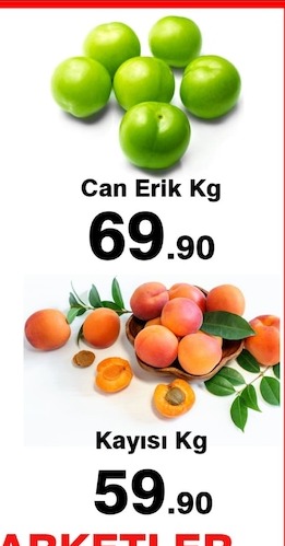 Greyfurt Kg