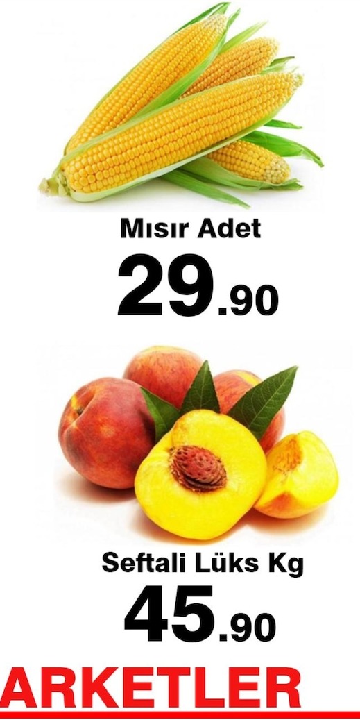 Sarımsak Taze Yeşil Kg