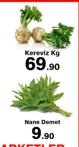 Seftali Lüks Kg