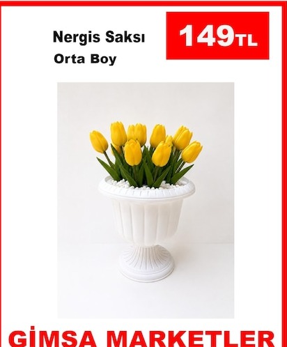 Nergis Saksı Orta Boy