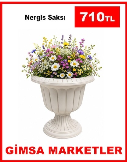 Nergis Saksı