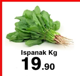 Ispanak Kg