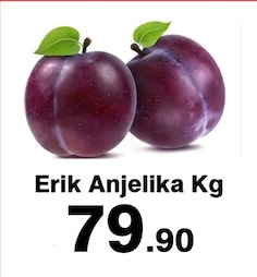 Erik Anjelika Kg