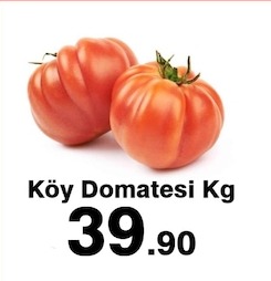 Salatalık Silor Kg