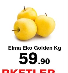 Sivri Biber Kg