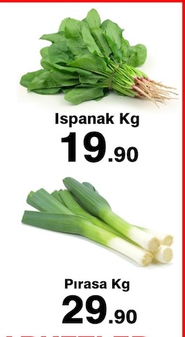 Ispanak Kg