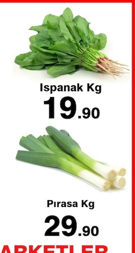 Ispanak Kg