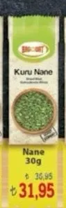 Brcoret Kuru Nane 30G