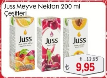 Juss Meyve Nektarı 200 Ml Çeşitleri