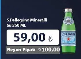 S.Pellegrino Mineralli Su 250 Ml