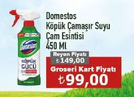 Domestos Köpük Çamaşır Suyu Çam Esintisi 450 Ml