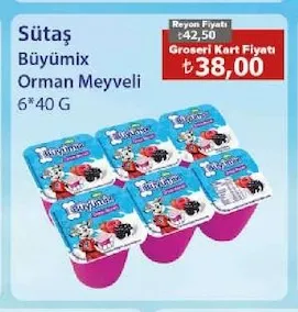 Sütaş Büyümix Orman Meyveli 6*40 G