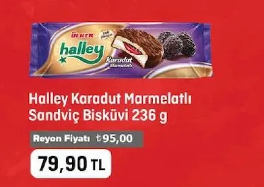 Halley Karadut Marmelatlı Sandviç Bisküvi 236 G
